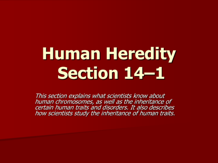 Section 14-1 human heredity answer key