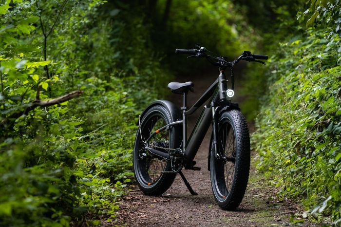 Radwagon rad ebike