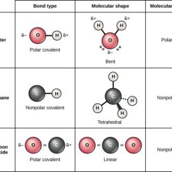 Molecular geometries of covalent molecules lab answers