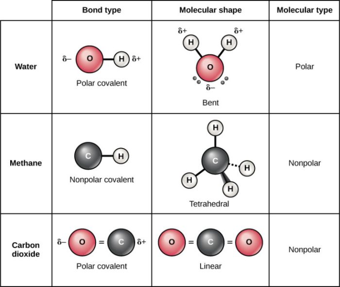 Molecular geometries of covalent molecules lab answers