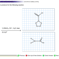 Draw the major products for the reaction shown